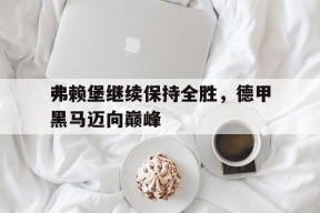Android体育APP-关于弗赖堡继续保持全胜，德甲黑马迈向巅峰的信息