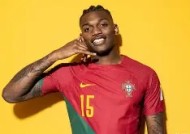 Android体育APP-葡萄牙国家队壮丽表现，领跑小组出线的简单介绍