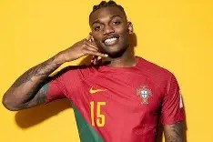 Android体育APP-葡萄牙国家队壮丽表现，领跑小组出线的简单介绍