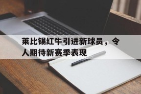 移动体育直播-莱比锡红牛引进新球员，令人期待新赛季表现的简单介绍