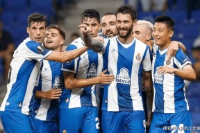 体育APP下载-西班牙队主场大捷，力压对手斩获关键胜利