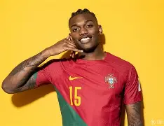 葡萄牙国家队壮丽表现，领跑小组出线的简单介绍