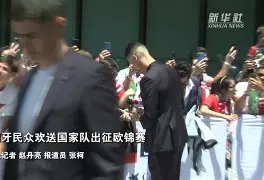 葡萄牙国家队壮丽表现，领跑小组出线的简单介绍
